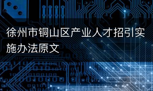 徐州市铜山区产业人才招引实施办法原文