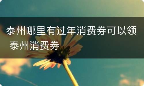 泰州哪里有过年消费券可以领 泰州消费劵