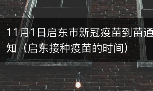 11月1日启东市新冠疫苗到苗通知（启东接种疫苗的时间）