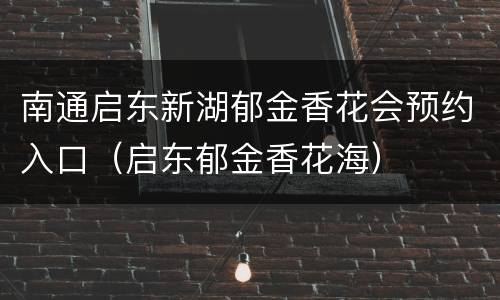 南通启东新湖郁金香花会预约入口（启东郁金香花海）