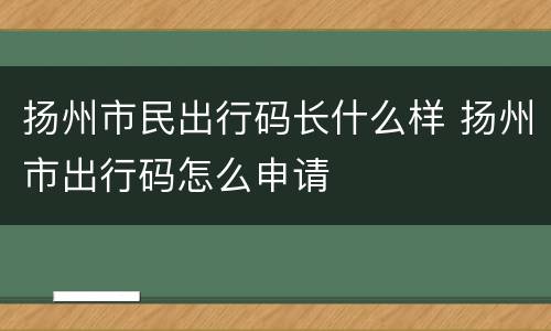 扬州市民出行码长什么样 扬州市出行码怎么申请