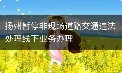 扬州暂停非现场道路交通违法处理线下业务办理
