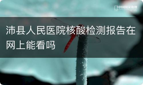 沛县人民医院核酸检测报告在网上能看吗
