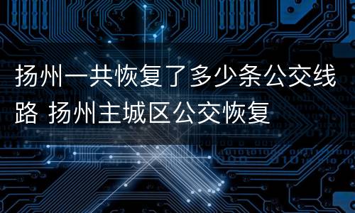 扬州一共恢复了多少条公交线路 扬州主城区公交恢复