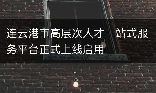 连云港市高层次人才一站式服务平台正式上线启用