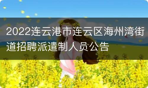 2022连云港市连云区海州湾街道招聘派遣制人员公告