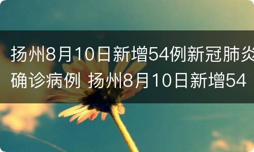 扬州8月10日新增54例新冠肺炎确诊病例 扬州8月10日新增54例新冠肺炎确诊病例有多少