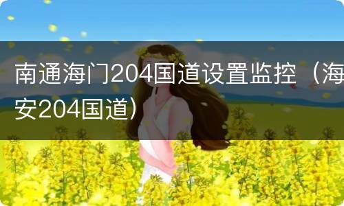 南通海门204国道设置监控（海安204国道）