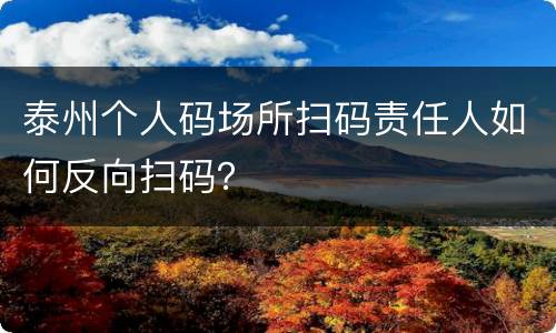 泰州个人码场所扫码责任人如何反向扫码？