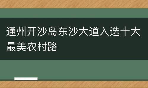通州开沙岛东沙大道入选十大最美农村路