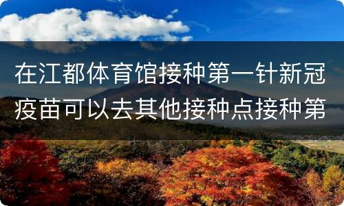 在江都体育馆接种第一针新冠疫苗可以去其他接种点接种第二针吗