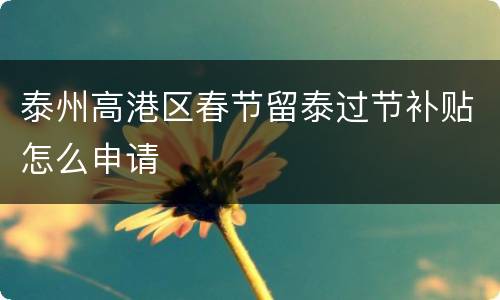 泰州高港区春节留泰过节补贴怎么申请