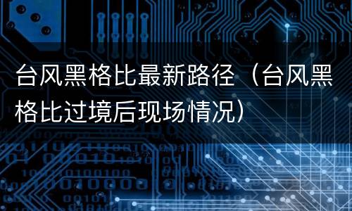 台风黑格比最新路径（台风黑格比过境后现场情况）