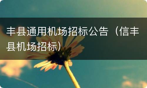 丰县通用机场招标公告（信丰县机场招标）