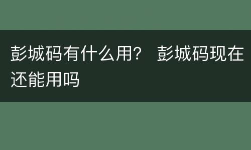 彭城码有什么用？ 彭城码现在还能用吗