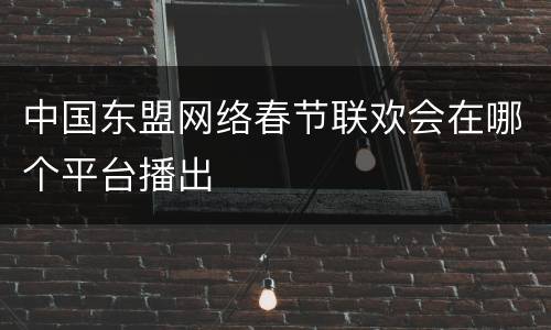 中国东盟网络春节联欢会在哪个平台播出