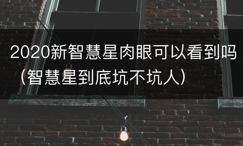 2020新智慧星肉眼可以看到吗（智慧星到底坑不坑人）