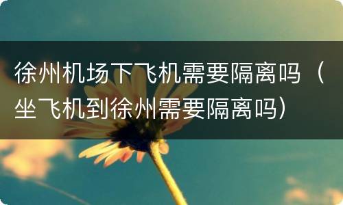 徐州机场下飞机需要隔离吗（坐飞机到徐州需要隔离吗）