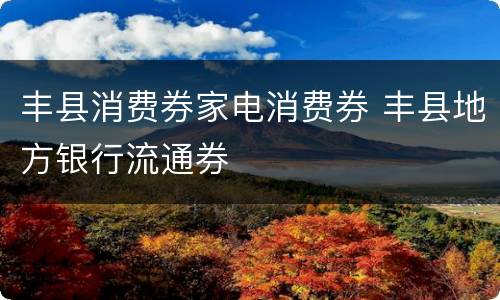丰县消费券家电消费券 丰县地方银行流通券