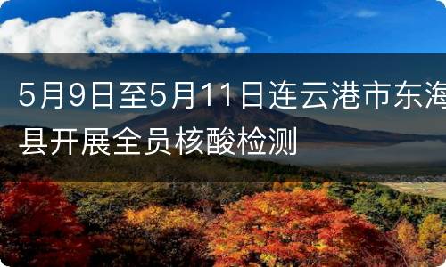 5月9日至5月11日连云港市东海县开展全员核酸检测