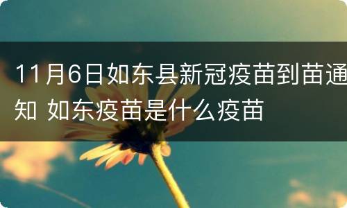 11月6日如东县新冠疫苗到苗通知 如东疫苗是什么疫苗