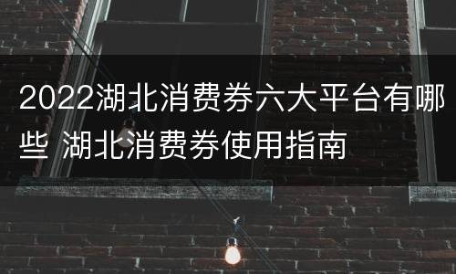 2022湖北消费券六大平台有哪些 湖北消费券使用指南