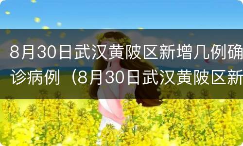 8月30日武汉黄陂区新增几例确诊病例（8月30日武汉黄陂区新增几例确诊病例呢）