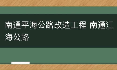 南通平海公路改造工程 南通江海公路