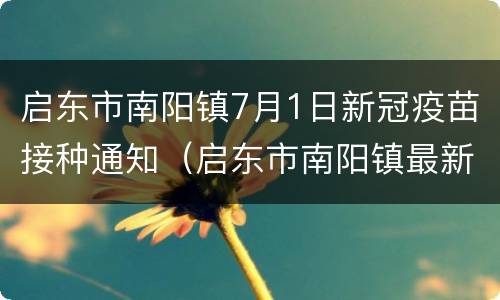 启东市南阳镇7月1日新冠疫苗接种通知（启东市南阳镇最新规划图）