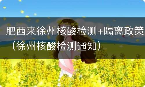 肥西来徐州核酸检测+隔离政策（徐州核酸检测通知）