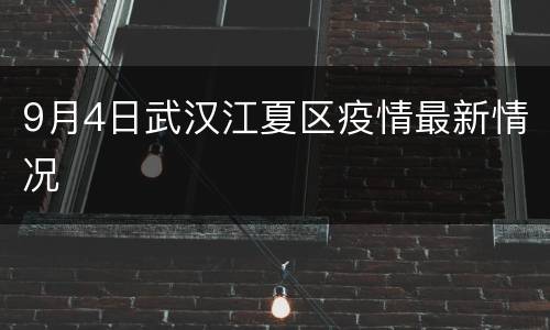 9月4日武汉江夏区疫情最新情况
