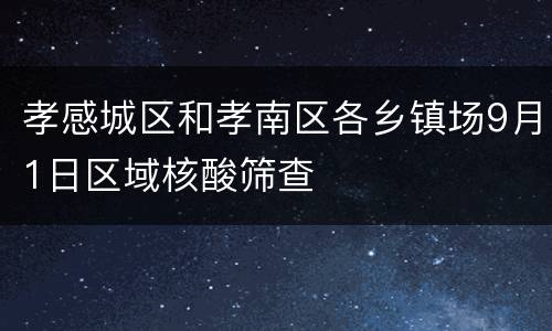 孝感城区和孝南区各乡镇场9月1日区域核酸筛查