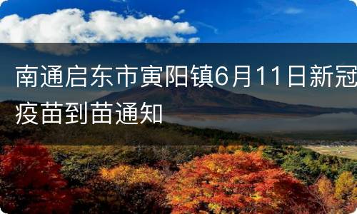 南通启东市寅阳镇6月11日新冠疫苗到苗通知
