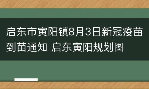 启东市寅阳镇8月3日新冠疫苗到苗通知 启东寅阳规划图