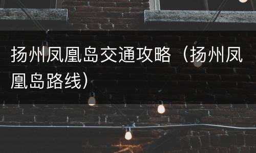 扬州凤凰岛交通攻略（扬州凤凰岛路线）