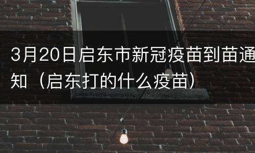 3月20日启东市新冠疫苗到苗通知（启东打的什么疫苗）