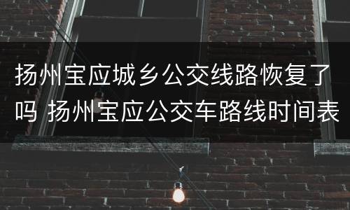 扬州宝应城乡公交线路恢复了吗 扬州宝应公交车路线时间表