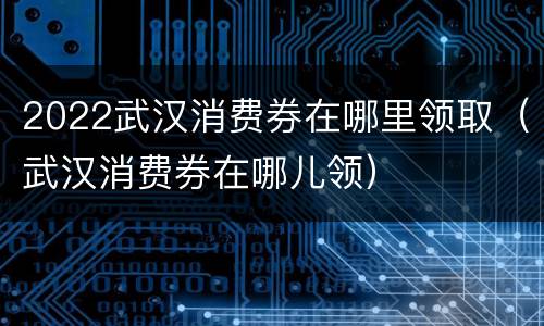 2022武汉消费券在哪里领取（武汉消费券在哪儿领）