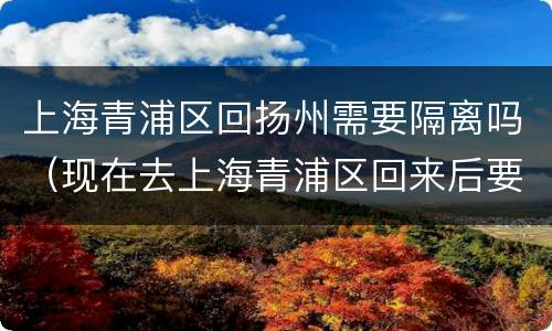 上海青浦区回扬州需要隔离吗（现在去上海青浦区回来后要隔离吗）