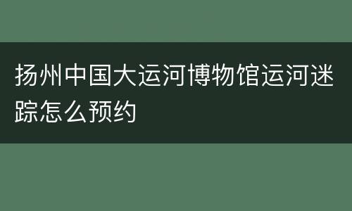 扬州中国大运河博物馆运河迷踪怎么预约
