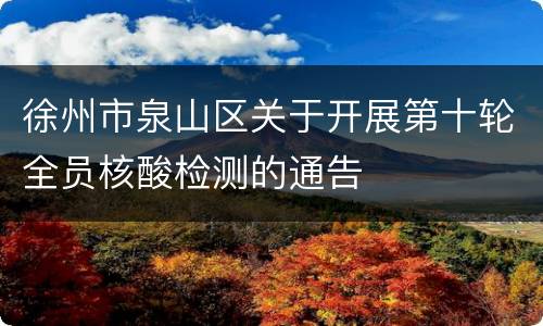 徐州市泉山区关于开展第十轮全员核酸检测的通告