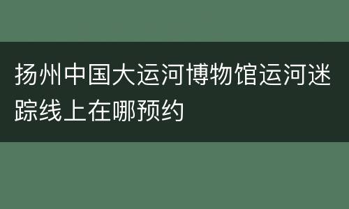 扬州中国大运河博物馆运河迷踪线上在哪预约