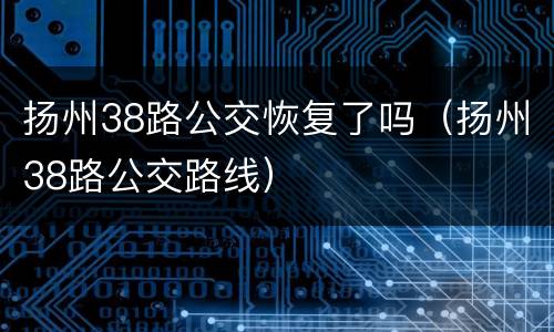 扬州38路公交恢复了吗（扬州38路公交路线）