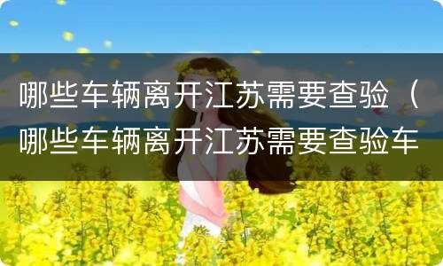 哪些车辆离开江苏需要查验（哪些车辆离开江苏需要查验车）