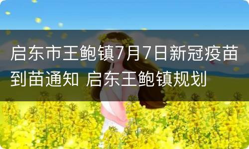 启东市王鲍镇7月7日新冠疫苗到苗通知 启东王鲍镇规划