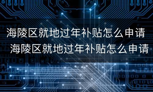 海陵区就地过年补贴怎么申请 海陵区就地过年补贴怎么申请领