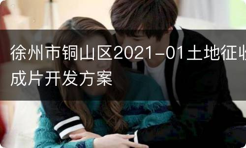 徐州市铜山区2021-01土地征收成片开发方案