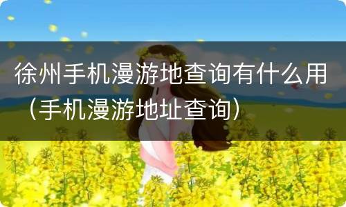徐州手机漫游地查询有什么用（手机漫游地址查询）