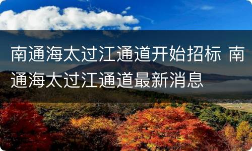 南通海太过江通道开始招标 南通海太过江通道最新消息