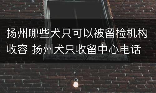 扬州哪些犬只可以被留检机构收容 扬州犬只收留中心电话